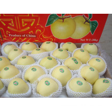 Delicious Fresh Golden Apple Supplier From Shandong Boren